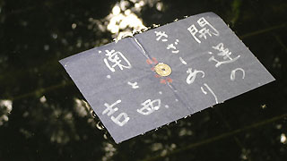 ���d�_�_��