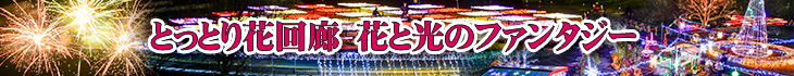 12月ツアー「とっとり花回廊イルミネーション」